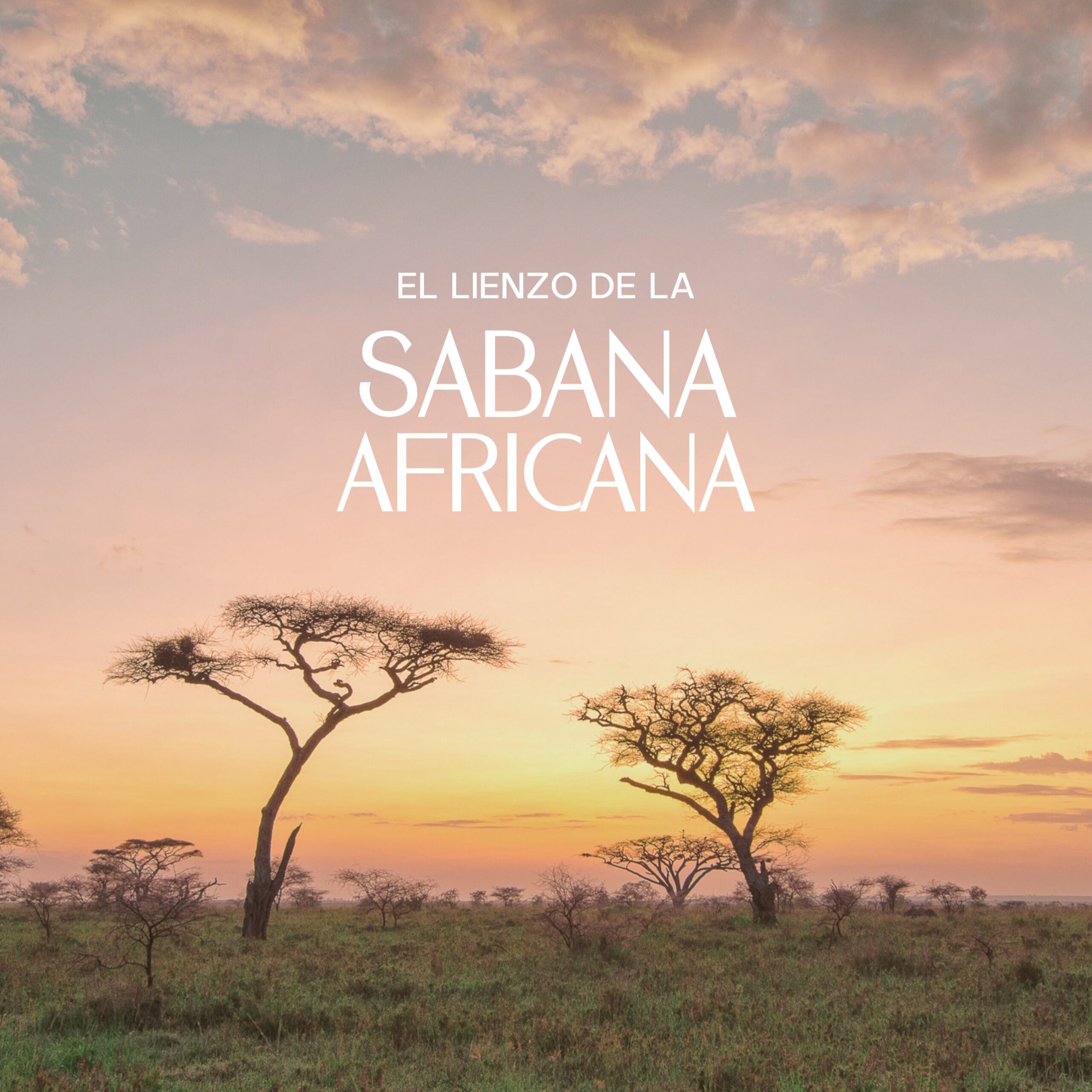 sabana