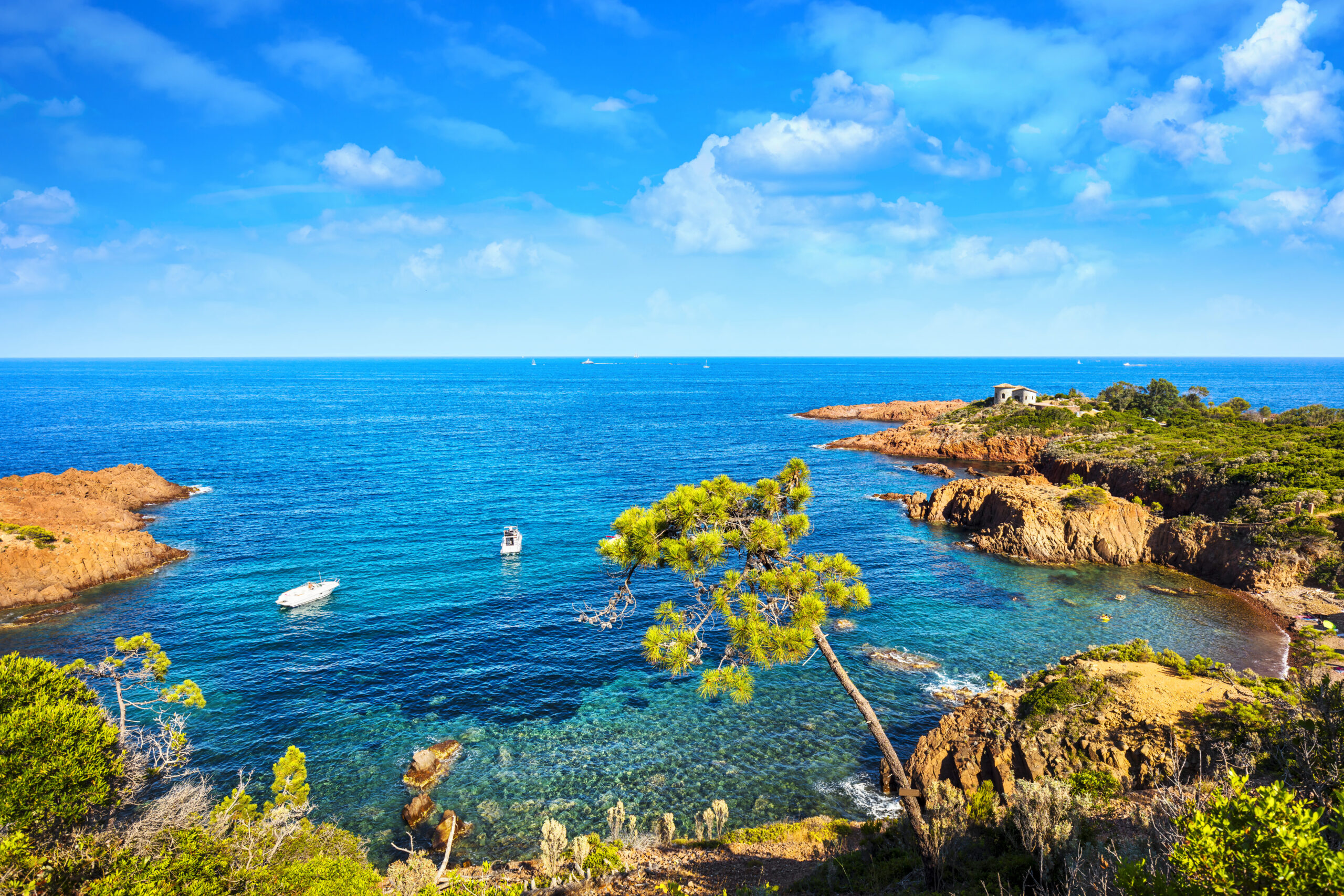 Esterel mediterranean tree, red rocks coast, beach and sea. French Riviera in Cote d Azur near Cannes, Provence, France, Europe.