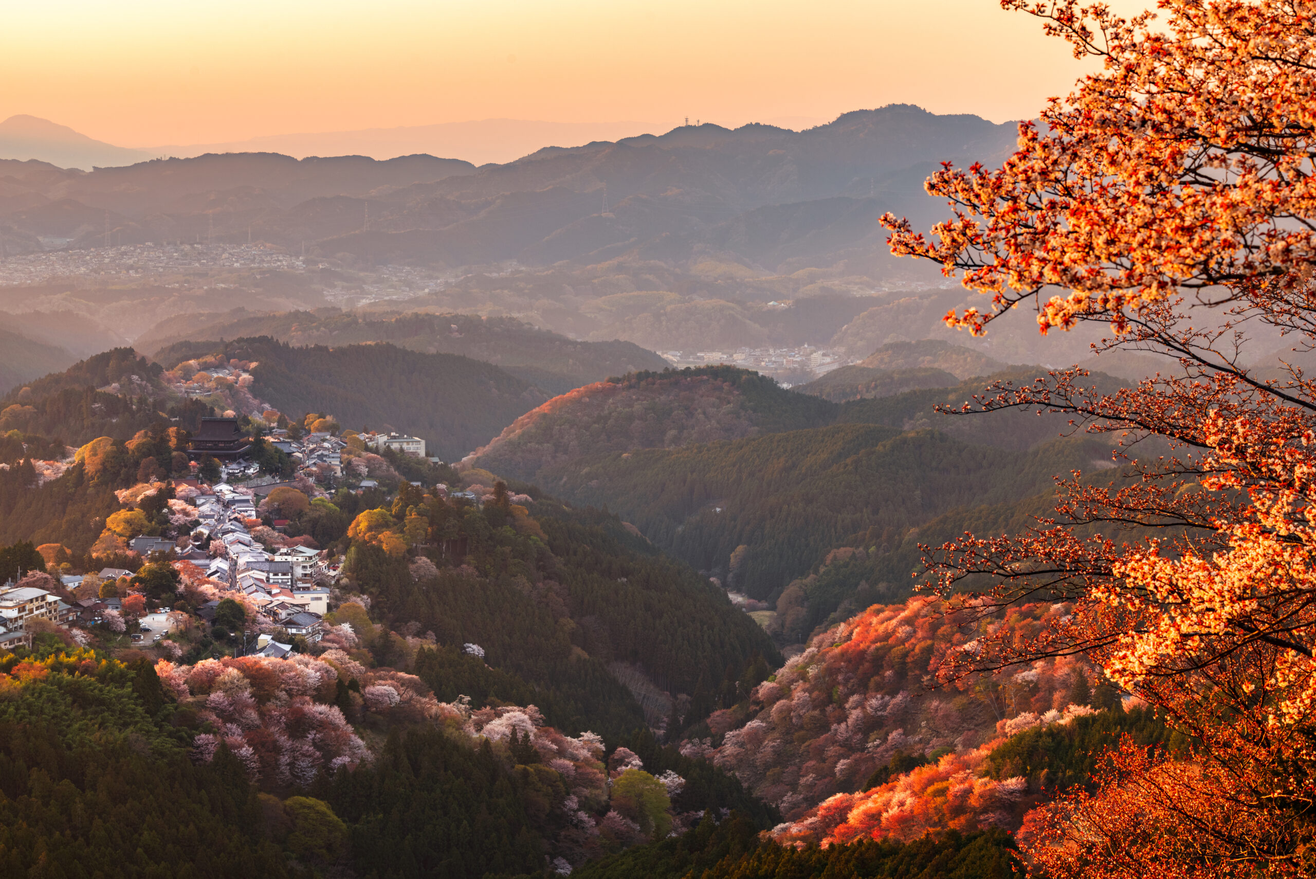Yoshinoyama, Nara, Japan in spring season.